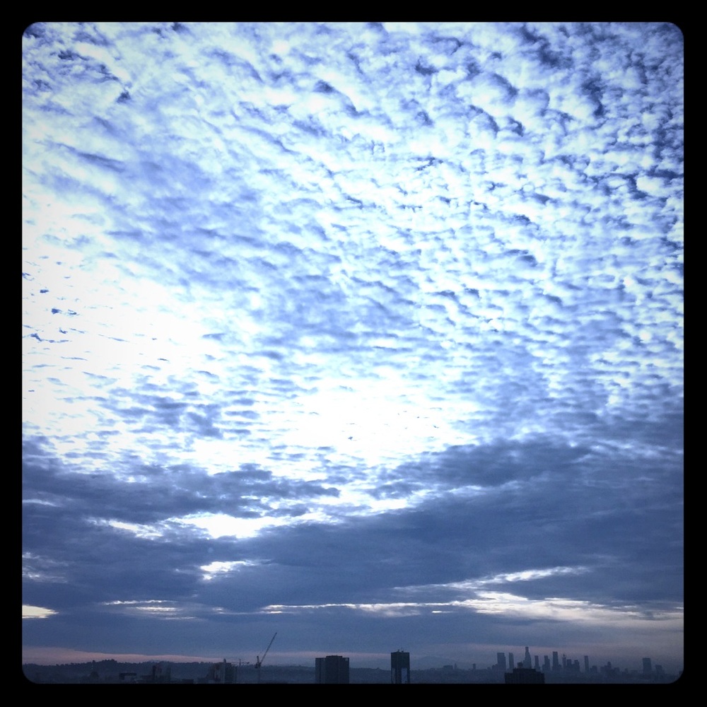 Meet your Posher, JAM